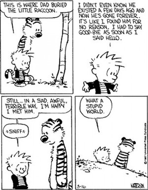 As a kid, I learned a lot about the world from Calvin and Hobbes…