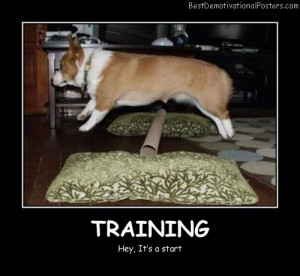 Training Demotivational Poster