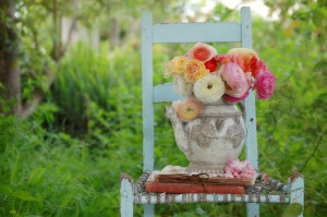 Flowers, buds, petals, white, pink, yellow, garden, grass, a chair, a ...