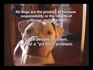 here s a little more information about the pit bull myth