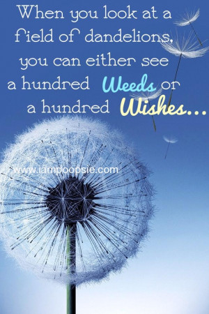 ... dandelions, you can either see a hundred of weeds, or a hundred wishes