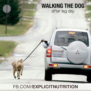 After Leg Day... Lol! #quotes #doglovers #exercises #workout #wod