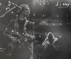 Where She Went, Gayle Forman