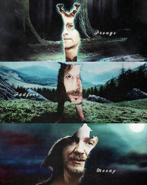 Moony, Padfoot and Prongs