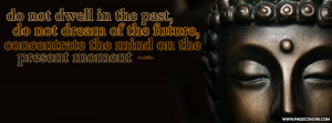 Do Not Dwell In The Past Buddha Cover