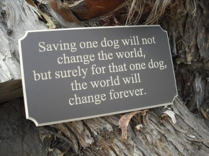 Saving one dog will not change the world, but surely for that one dog ...