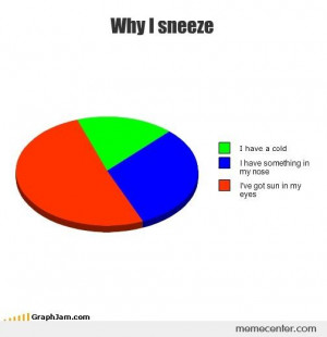Why I sneeze