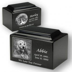 pet-urns-for-dogs-and-cats.279181027_large.jpg