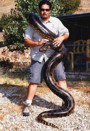 Anaconda (film) wallpaper