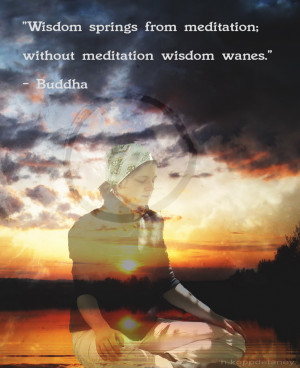 Wisdom springs from meditation ; without meditation wisdom wan es ...