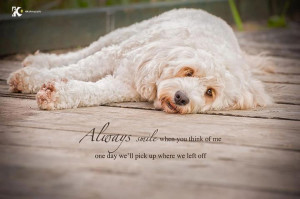 Dog Quotes And Poems