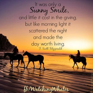 Quotes for Inspiration / Watching Whales