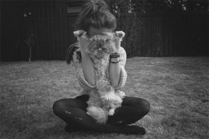 black and white, cat, cute, girl, hair, kitty