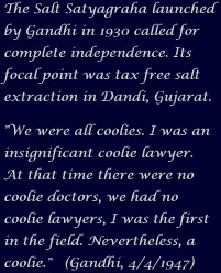 gandhi lead a campaign to extract salt from ocean water instead of ...