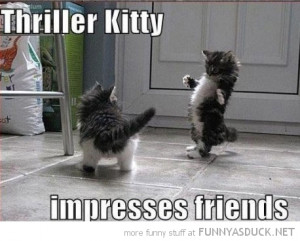 dancing cat kitten lolcat animal thriller impress friends funny pics ...
