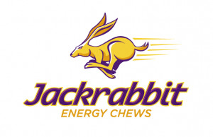 Jackrabbit Logo Jackrabbit logo design
