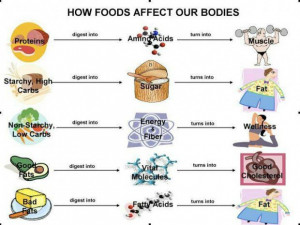 Inspiring quotes about health body and fitness