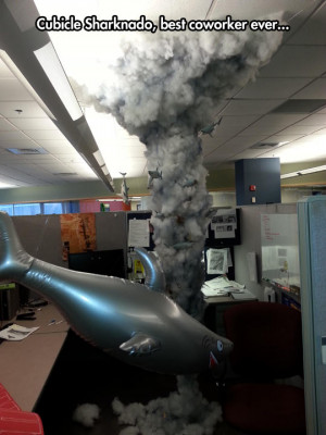 Sharknado in my office…