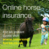 Horse Insurance - FREE Horse Insurance Quotes Online