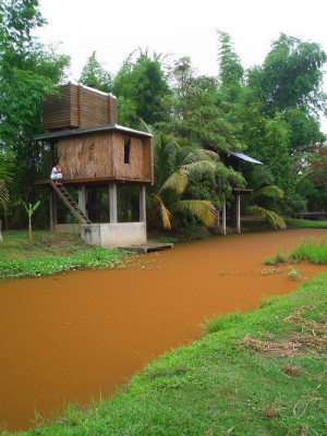 Utopian Society Project Examples Coined the term utopia in