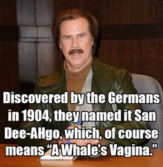 in Anchorman: The Legend of Ron Burgundy, 2004 | 13 Will Ferrell ...