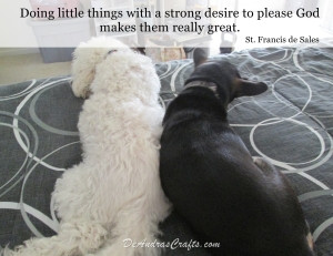 Francis Desal, Saint Francis