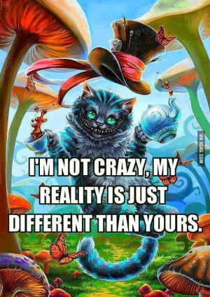 not crazy, my reality is just different than yours