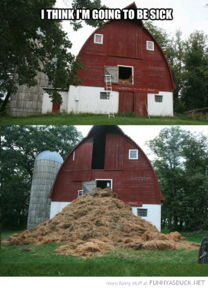 hay barn think going to be sick face funny pics pictures pic picture ...