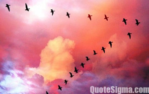 In the simplest terms, a leader is one who knows where she wants and ...