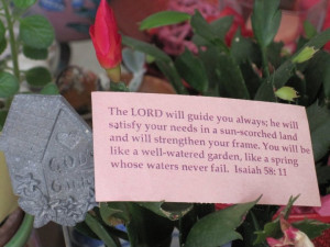 ask the plants of the earth, and they will teach you... Job 12: 8a