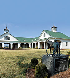 Managing a stallion is a lot more difficult than it used to be because ...