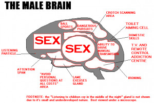 ... man's brain. Read it and weep. And, just a short note to my male