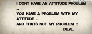 Don't Have an Attitude Problem ...You Have a Problem with My Attitude ...