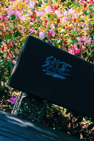 gangster squad quotes