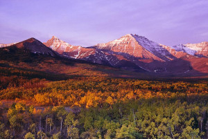Search Results for: Waterton Lakes National Park