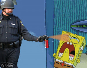 Funny Pepper Spraying Cop Meme (14)