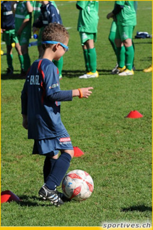 Related Pictures camp cu flori poze wallpapers imagini images photos ...