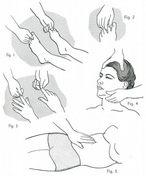 Transverse currents that run east-west in the body