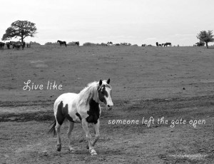 Live Like Someone Left The Gate Open - Animal Quote