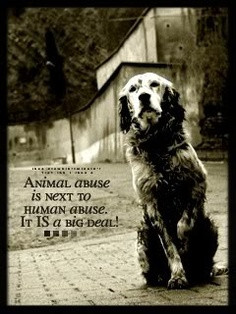 Be Kind To Animal Quotes