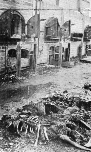 concentration camp view crematorium ovens majdanek concentration camp