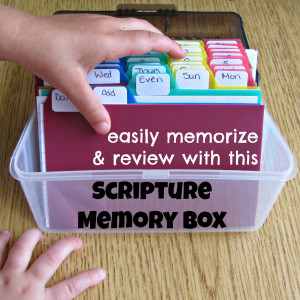 after the dishes are cleaned up the kitchen is tidied