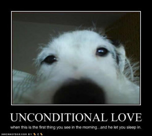 funny dog pictures unconditional love