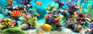 Facebook covers - Sea life and fish aquarium timeline cover photo 003