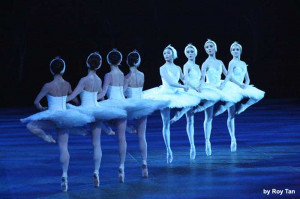 English National Ballet Present Swan Lake The Round