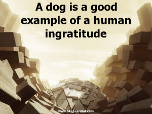 dog is a good example of a human ingratitude - Angry Quotes ...