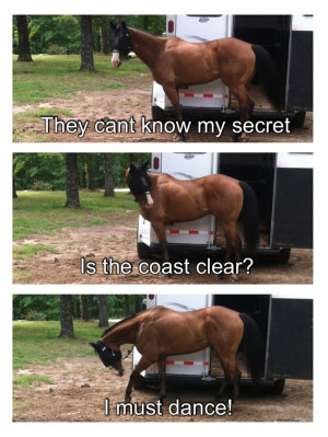 Horse humor