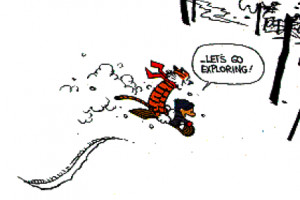 Ele Calvin And Hobbes...