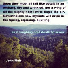 ... quotes www lovehealsus nets john muir quotes favorite quotes quotes 37