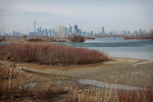 Tommy Thomson Park Toronto Picture of Tommy Thompson Park Toronto